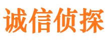 江岸市私家侦探